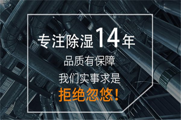 陰雨天濕氣橫行，除濕機一招致勝