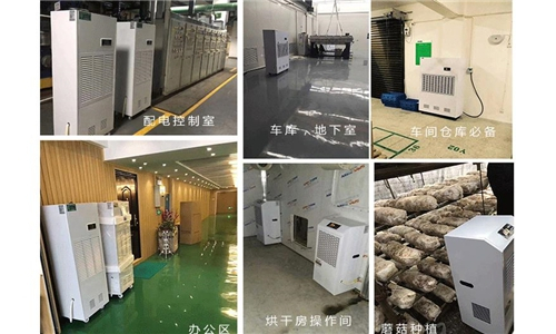# 告別潮濕不再愁，除濕機讓您干爽無憂