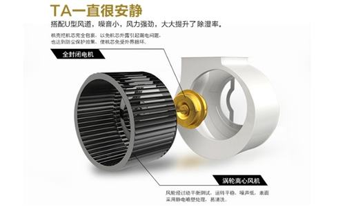 輕紡服裝鞋帽車間有效除濕辦法？