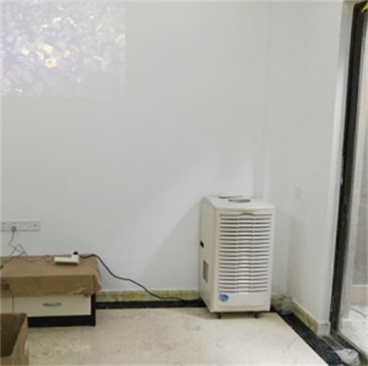 掛面作坊烘干用帶485通訊除濕儀